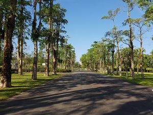 宜蘭寵物友善景點 宜蘭羅東運動公園