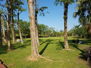 宜蘭寵物友善景點 宜蘭羅東運動公園
