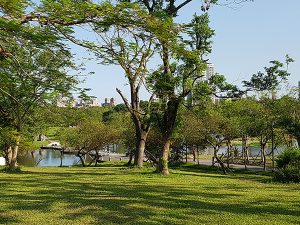 宜蘭寵物友善景點 宜蘭羅東運動公園