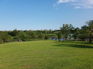 宜蘭寵物友善景點 宜蘭羅東運動公園