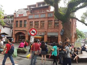 petsyoyo寵遊網-深坑大樹下