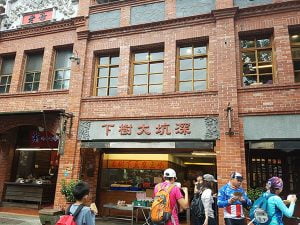 petsyoyo寵遊網-深坑大樹下