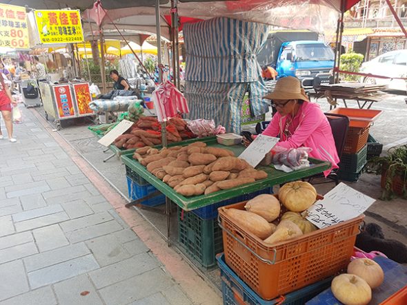 petsyoyo寵遊網－金山老街
