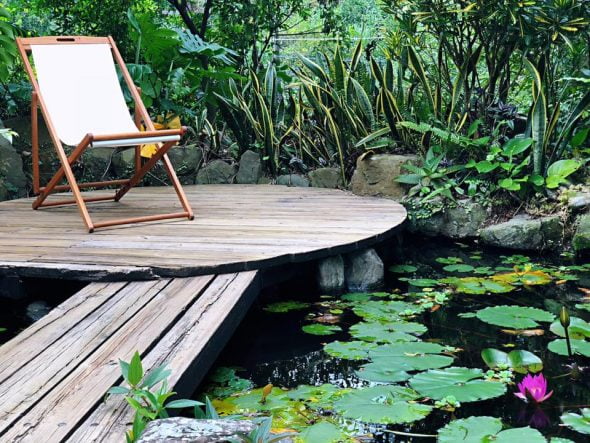 基隆寵物友善景點餐廳-芳裕農場