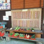 petsyoyo寵遊網－彩燕在地美食