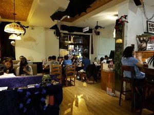 petsyoyo寵遊網－貮樓公館店