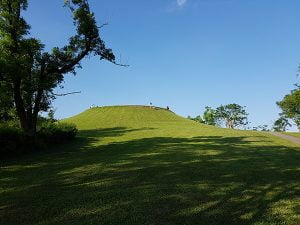 petsyoyo寵遊網－宜蘭寵物友善景點 羅東運動公園