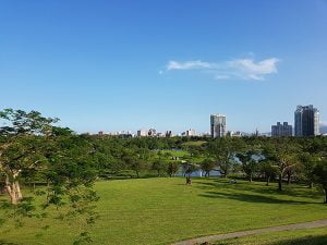 petsyoyo寵遊網－宜蘭寵物友善景點 羅東運動公園