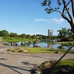 petsyoyo寵遊網－宜蘭寵物友善景點 羅東運動公園