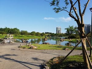 petsyoyo寵遊網－宜蘭寵物友善景點 羅東運動公園