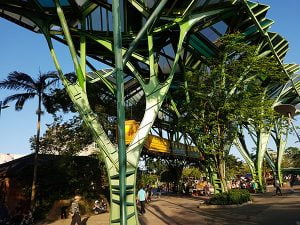 petsyoyo寵遊網－丟丟噹森林