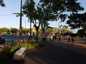 petsyoyo寵遊網－丟丟噹森林