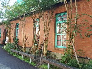 petsyoyo寵遊網－丟丟噹森林