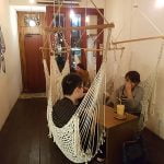 petsyoyo寵遊網－溫古咖啡wengucafe(寵物友善)