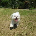 petsyoyo寵遊網－三才靈芝生態農場民宿