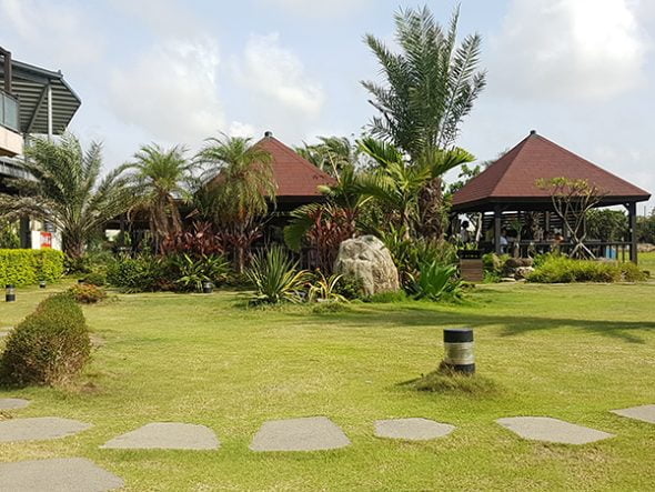 petsyoyo寵遊網－3號咖啡