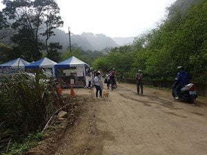 petsyoyo寵遊網－熊空櫻花林