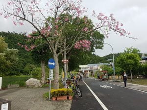 petsyoyo寵遊網－梅花湖風景區