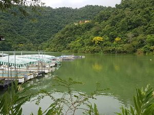 petsyoyo寵遊網－梅花湖風景區