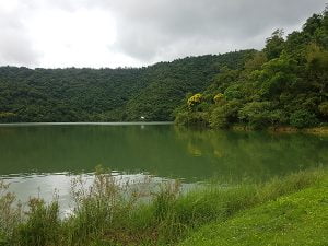 petsyoyo寵遊網－梅花湖風景區