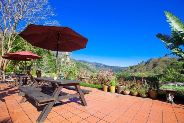 petsyoyo寵遊網－幸福綠光民宿會館