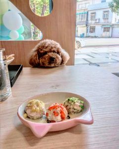 桃園寵物餐廳-毛來了 FURRY FURRY 寵物餐廳