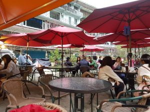 petsyoyo寵遊網－泰雅馬告咖啡