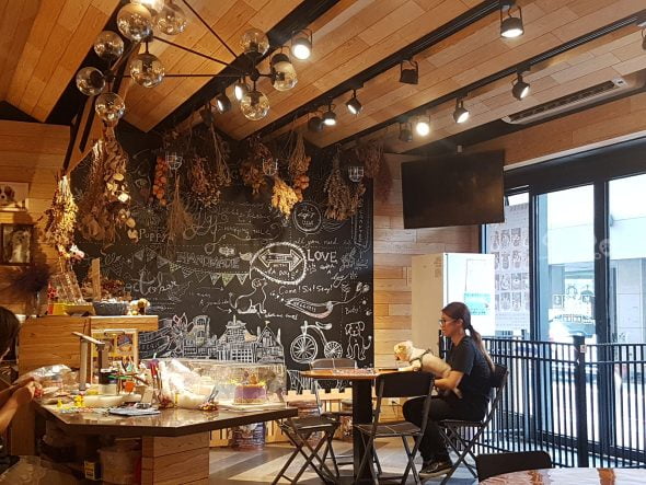 petsyoyo寵遊網－Dog Boss寵物友善餐廳