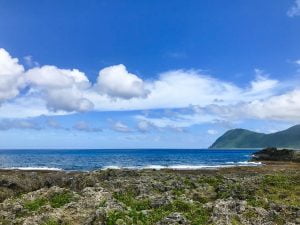 petsyoyo寵遊網－蘭嶼