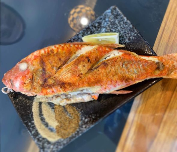 petsyoyo寵遊網－鑫苑鐵板料理