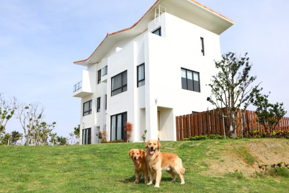 墾丁寵物友善住宿-嵐翎白砂渡假莊園