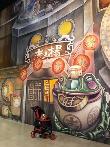 嘉義寵物友善景點-老楊方塊酥_