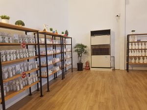 宜蘭龍潭湖寵物友善餐廳-龍潭湖畔悠活園區