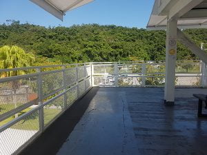 宜蘭龍潭湖寵物友善餐廳-龍潭湖畔悠活園區