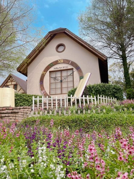 台中北屯寵物友善餐廳-心之芳庭