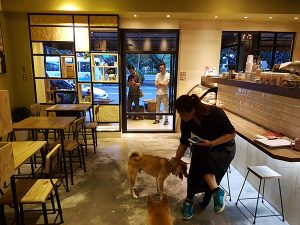 新北永和寵物友善餐廳 捲尾巴寵物友善餐廳