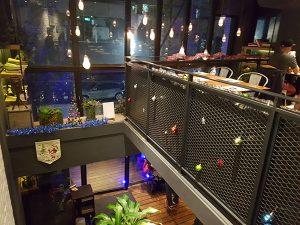 台北信義寵物友善餐廳 Drip cafe好滴