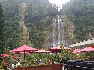 新北烏來寵物友善餐廳 泰雅馬告咖啡