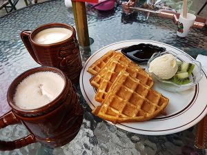 新北烏來寵物友善餐廳 泰雅馬告咖啡