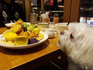 台北市公館寵物友善餐廳 貮樓