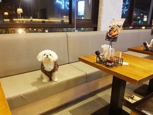 台北市公館寵物友善餐廳 貮樓