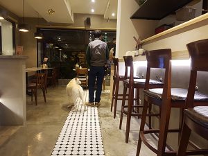 台北市公館寵物友善餐廳 貮樓