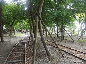 petsyoyo寵遊網－宜蘭寵物友善景點 羅東林業文化園區