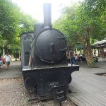 petsyoyo寵遊網－宜蘭寵物友善景點 羅東林業文化園區