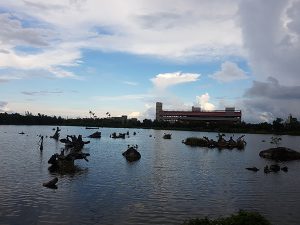 petsyoyo寵遊網－宜蘭寵物友善景點 羅東林業文化園區