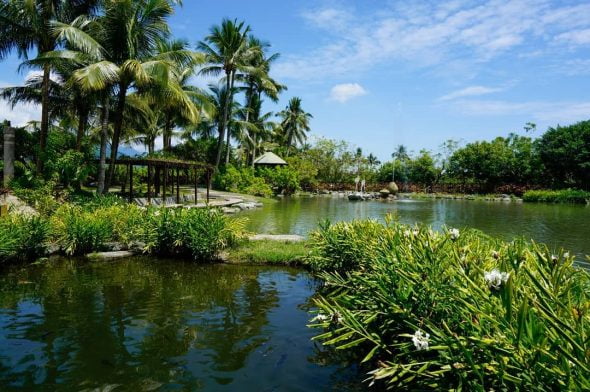 花蓮壽豐寵物友善景點-立川漁場_ et252784提供