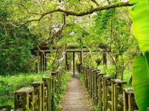 花蓮馬太鞍寵物友善景點-jing_feng520141提供