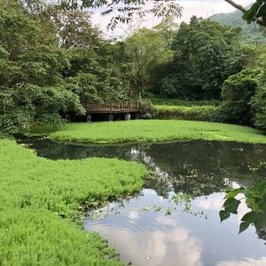 花蓮馬太鞍寵物友善景點-馬太鞍休閒農業區_steveyang_jg提供