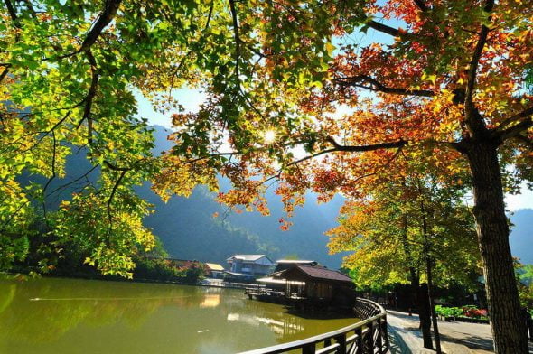 南投水里寵物友善景點-車程貯木池