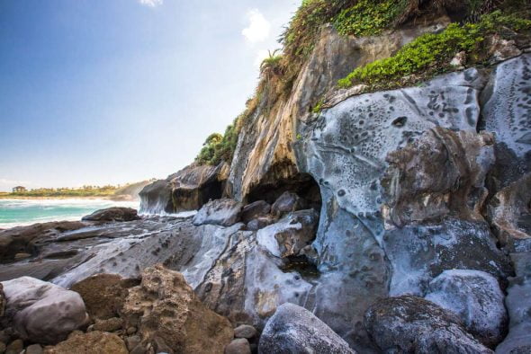 台東寵物友善景點-石雨傘